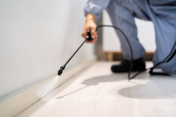 Certified termite inspector examining foundation in Leon